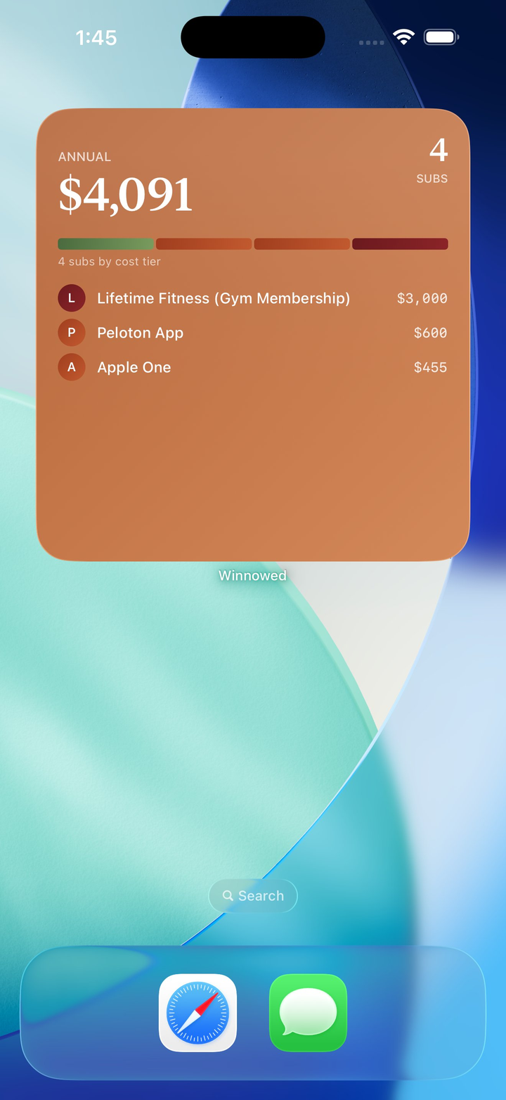 A home screen widget showing annual spending and top subscriptions.